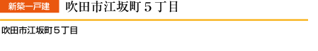 ]⒬T